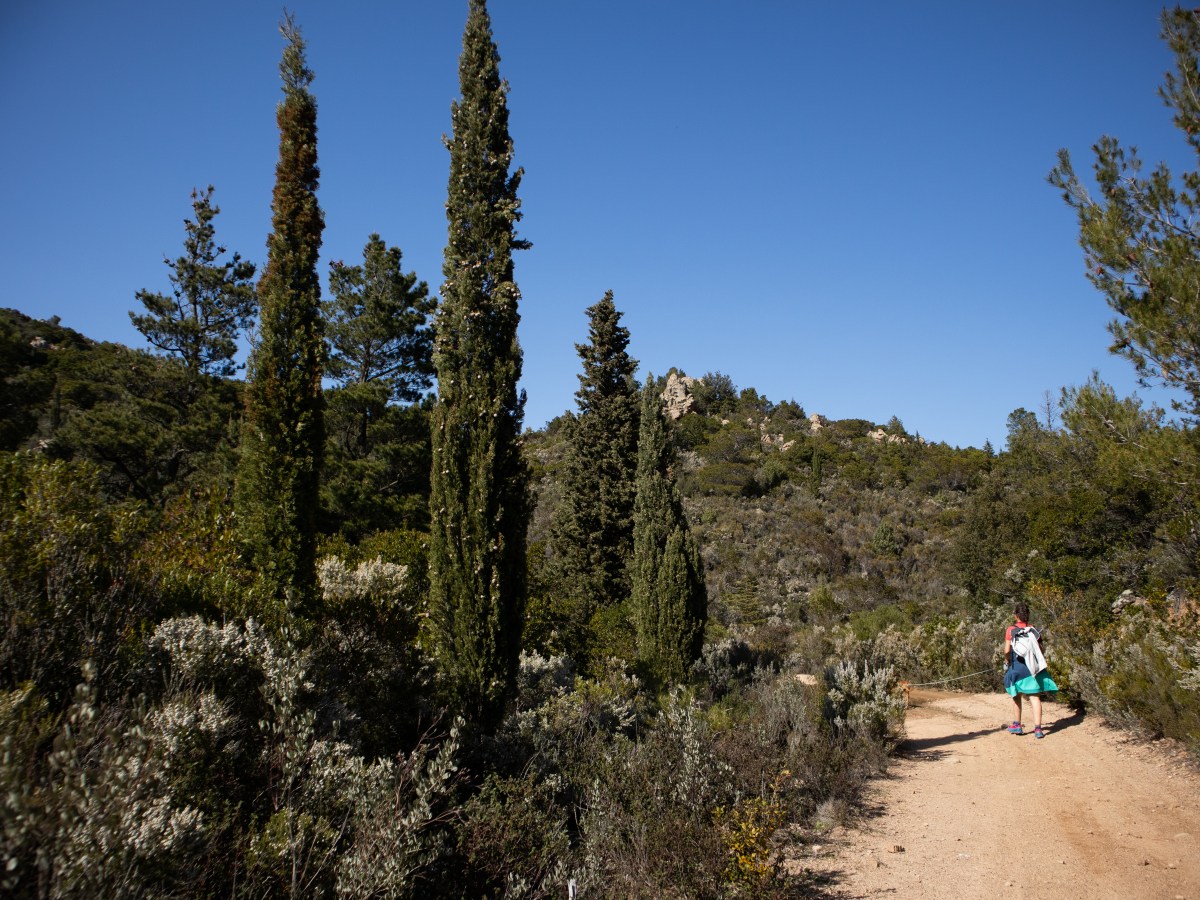 Wandern nach Tandalò, Oschiri – Lieblingstour mit&nbsp;⭐⭐⭐⭐⭐