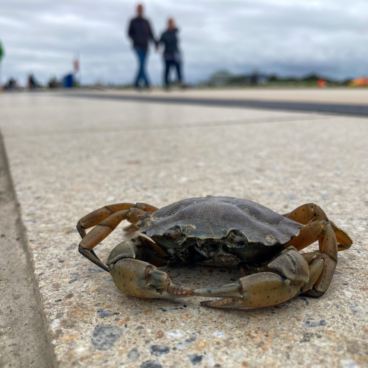 Deutschland, Ostfriesland